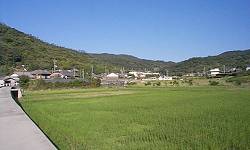 �c���n�т̕��i