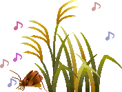 Ⴂ܂