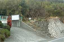 �V��⒚������