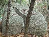 �R�Ɋ�������