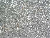 �p�`����