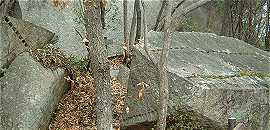 ��̂�������͂����ς�����܂�