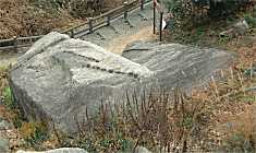 �������猩�����l��