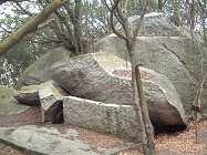 �V���������ɂ͎c�΂������ς�