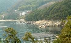 �⃖�J����T��ւ̊C��