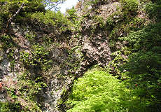 �t�̐Ζ�i��������j