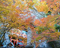 �ʊp�x����̑�t��