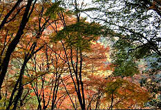 ��t������