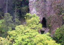 ���[�v�E�F�C���猩���V����