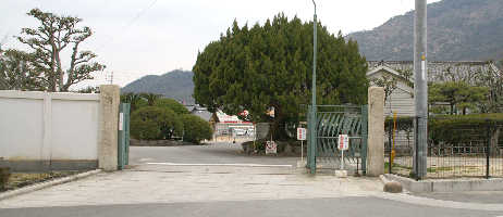 ���H���猩�������