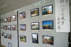 �y�����̕��i�ʐ^