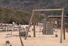 ���̉a�t����