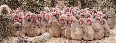 �����Ƃ��͉�����