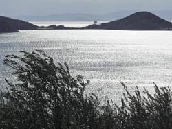 �����E�Q