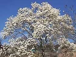 �n�N���N����