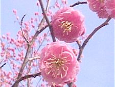 ~̉