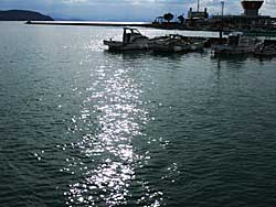 LL